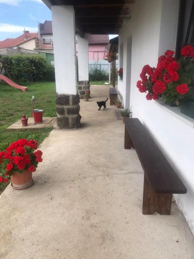 Hotel Oncsa Vendeghaz Gyöngyös Zewnętrze zdjęcie